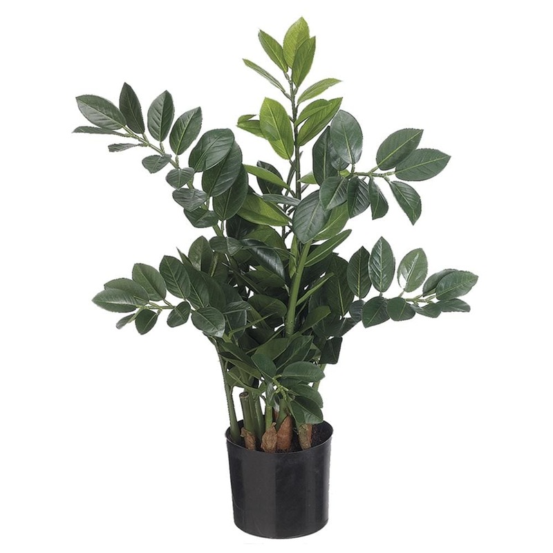 Faux Zamioculcas Plant