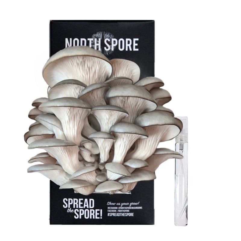 Organic Blue Oyster Spray & Grow Mushroom Growing Kit