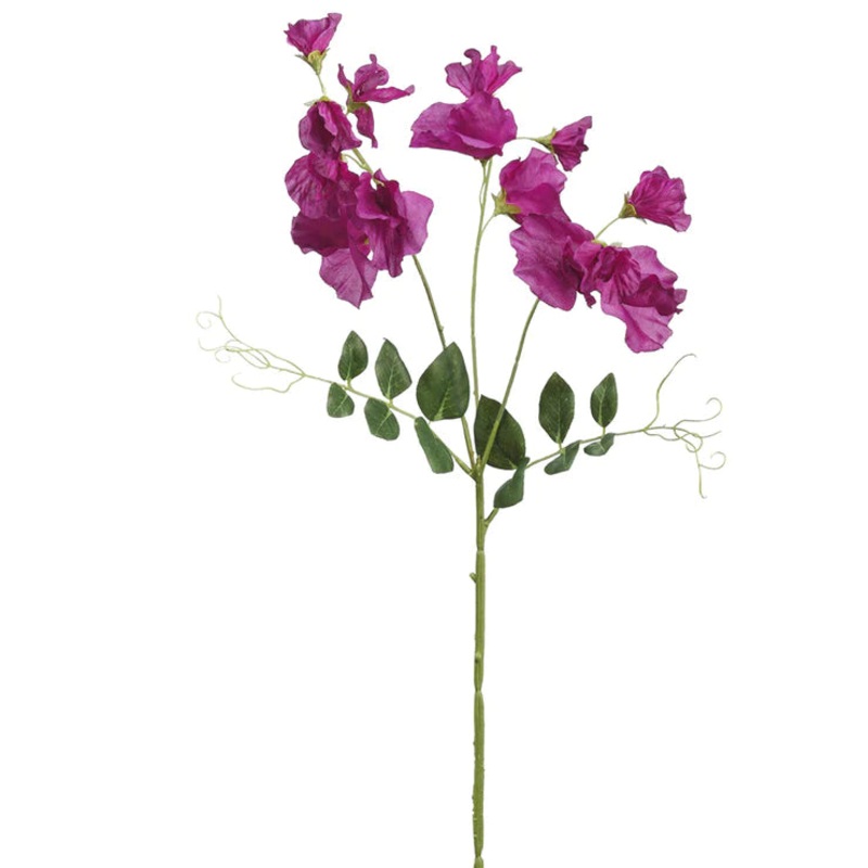 27″ Sweetpea Stem Purple
