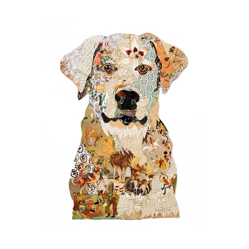 “White Lab” Archival Print