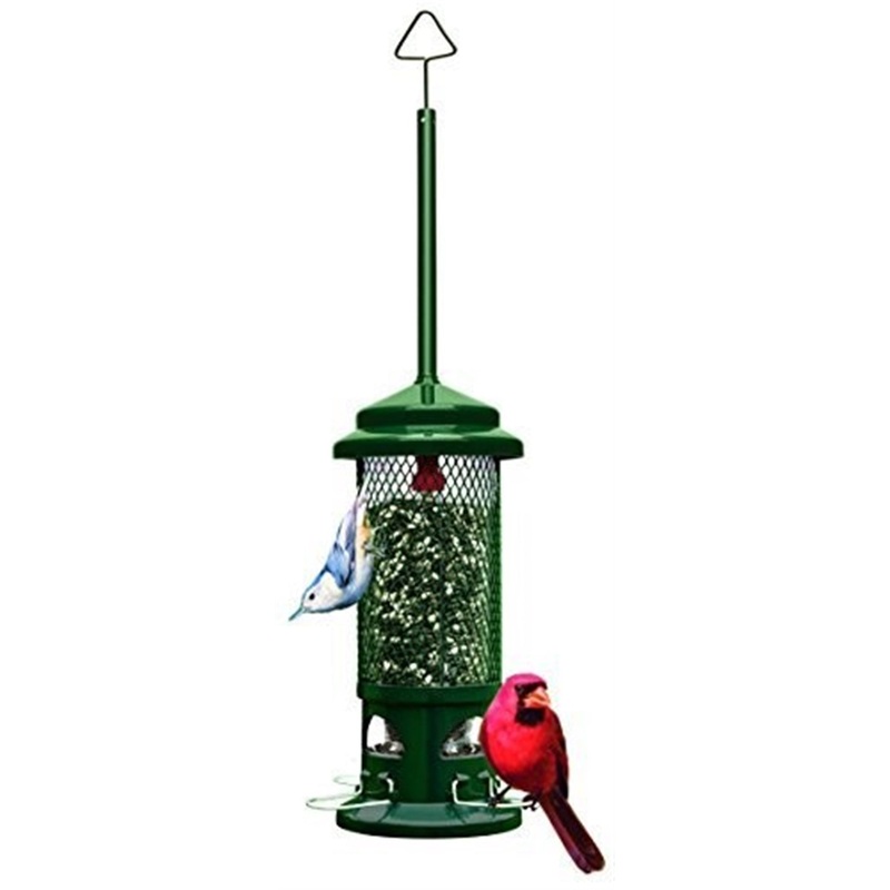 Brome Squirrel Buster Standard Wild Bird Feeder with 4 Metal Perches, 1.3 lb Seed Capacity, 13.25″