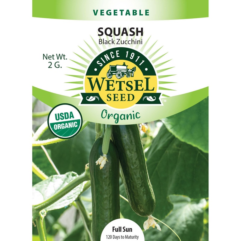 Wetsel Seed Organic Black Zucchini Squash Seed