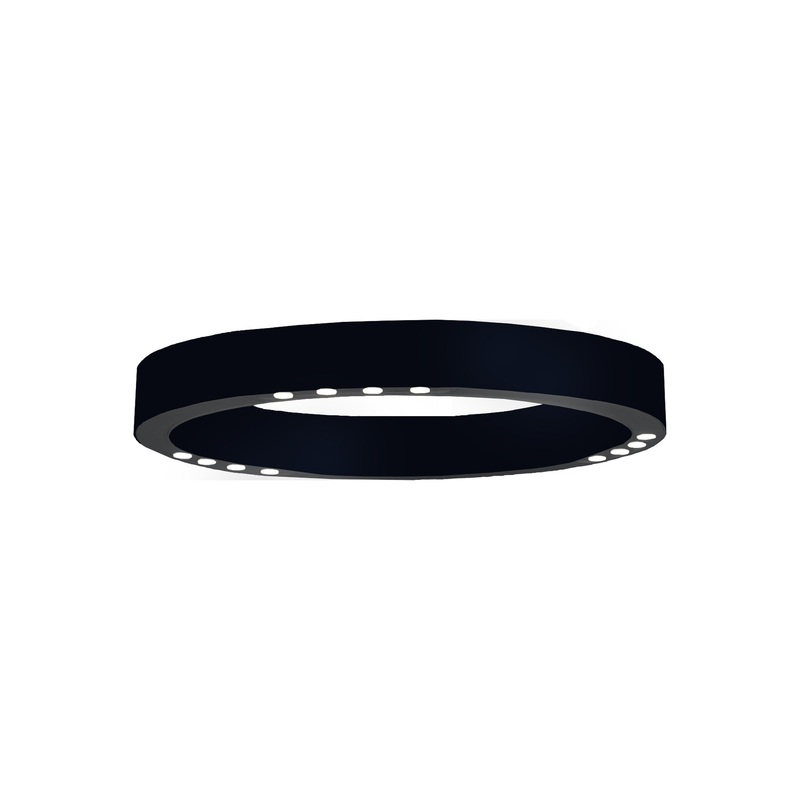 R2 C LED Flush Mount Ceiling Light