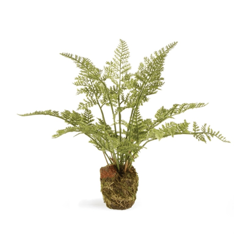 Faux Soft Fern Drop In