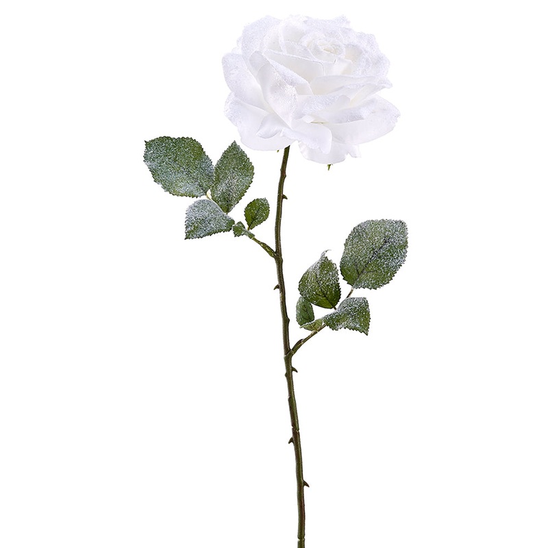 Snowed Rose Stem – White