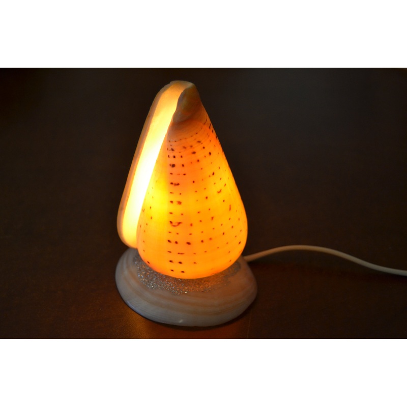 Spotted Orange Cone Sea Shell Table Lamp