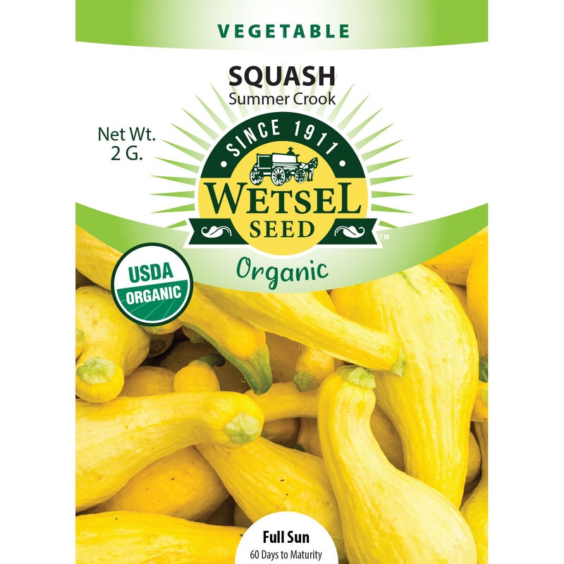 Wetsel Seed Organic Summer Crook Squash Seed