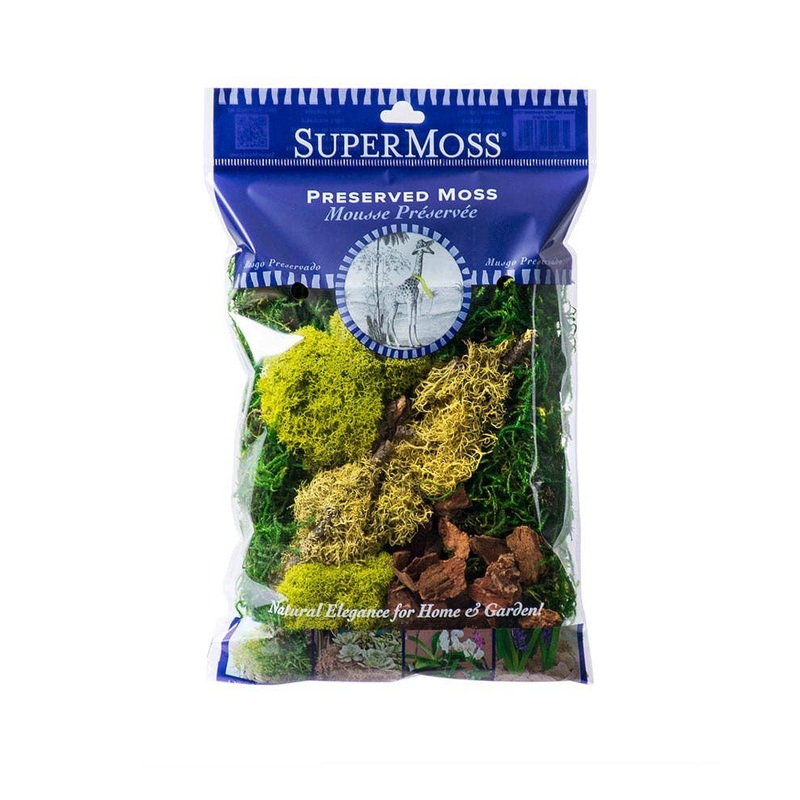 Fairy Garden Moss Kit