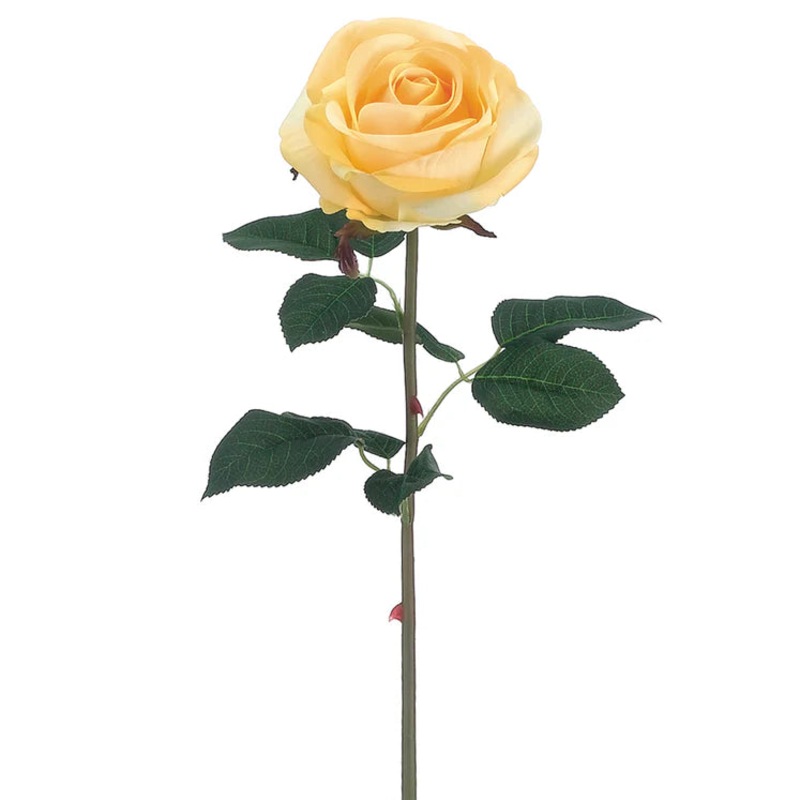 20″ Garden Rose Stem