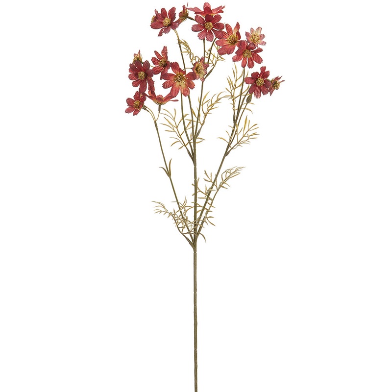 Burgundy Wild Cosmos Spray