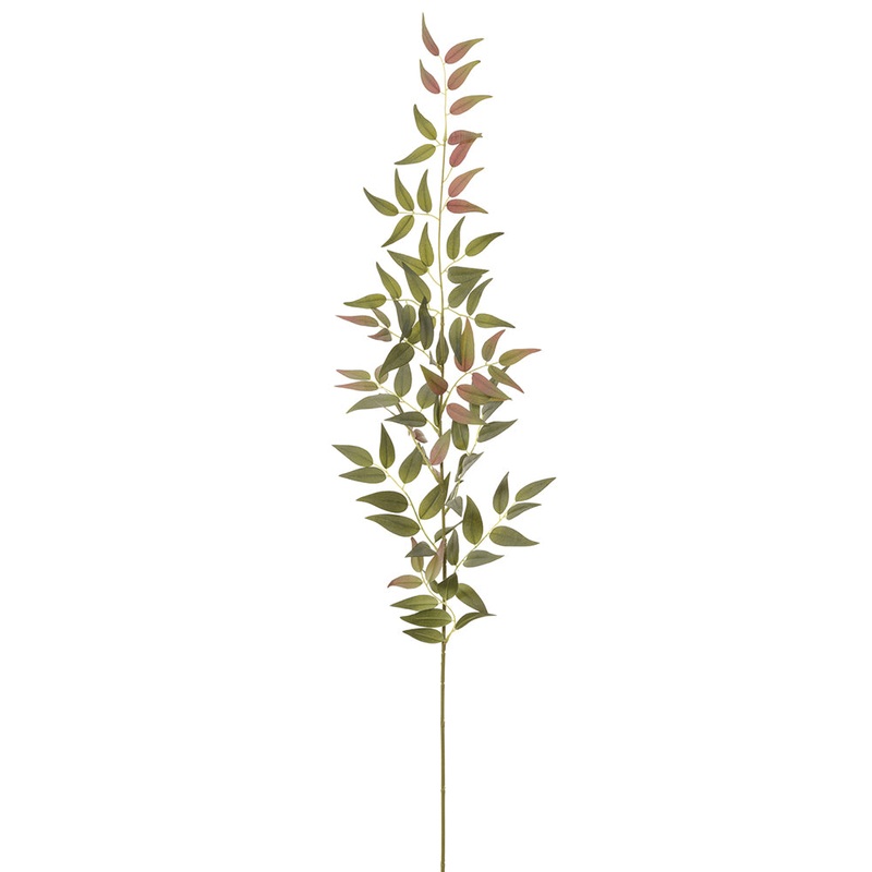 Italian Ruscus Stem