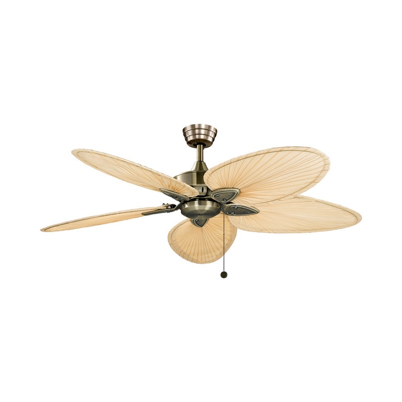 Windpointe Indoor Ceiling Fan