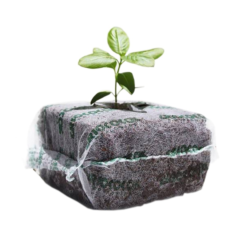 RIOCOCO PCM 4×4 in. Organic Starter Block – Case of 275