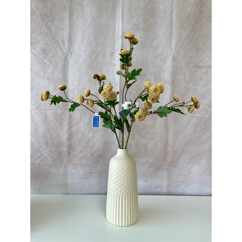 Beige Tansy Spray
