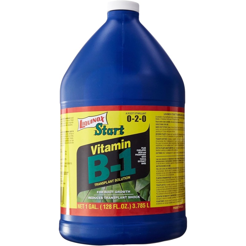 Liquinox Start 0-2-0 Vitamin B-1 Transplant Solution and Root Stimulant, 1 Gallon