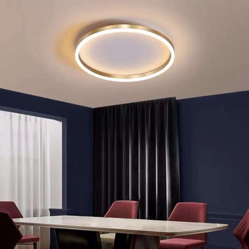 Household LED Ceiling Light
