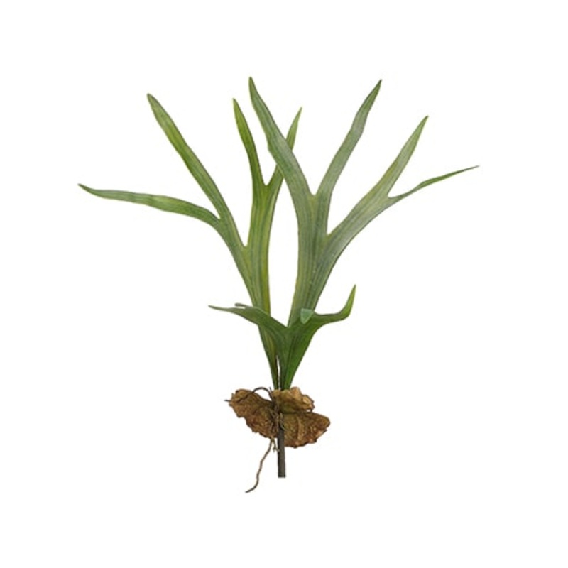 24.5″ Staghorn Plant Green