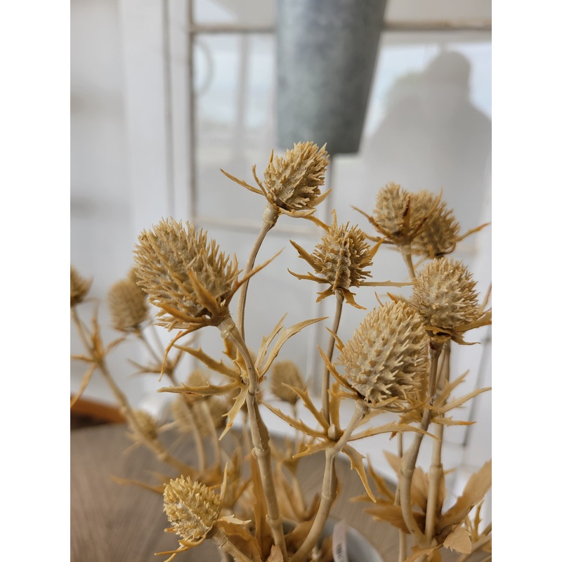 Beige Eryngium Thistle Spray