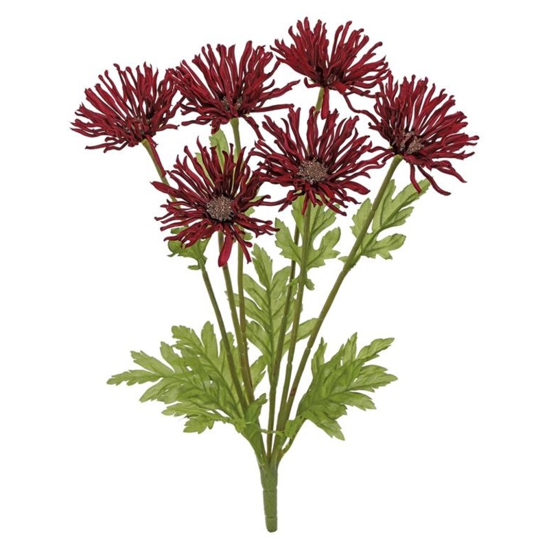 Garden Mum Bush