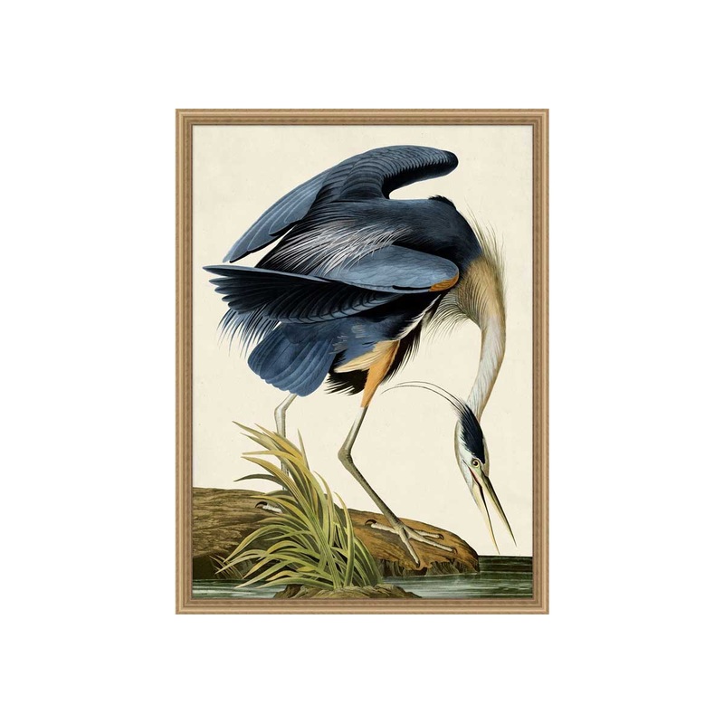 OISEAU