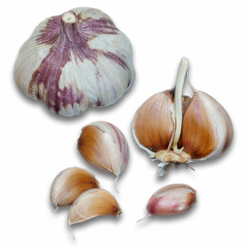 Blossom Hardneck Garlic – USDA Certified Organic