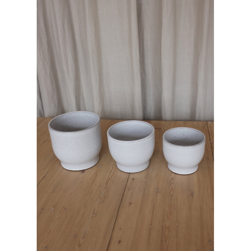 Dahlia Flowerpot