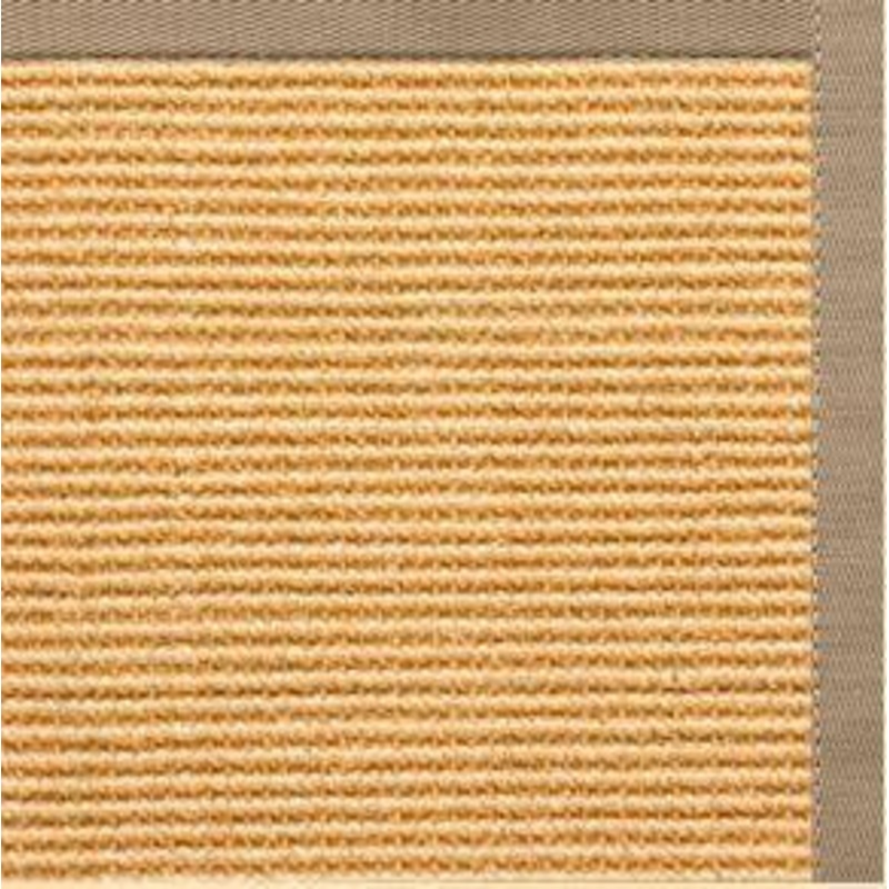 Tan Sisal Rug with Pistachio Cotton Border