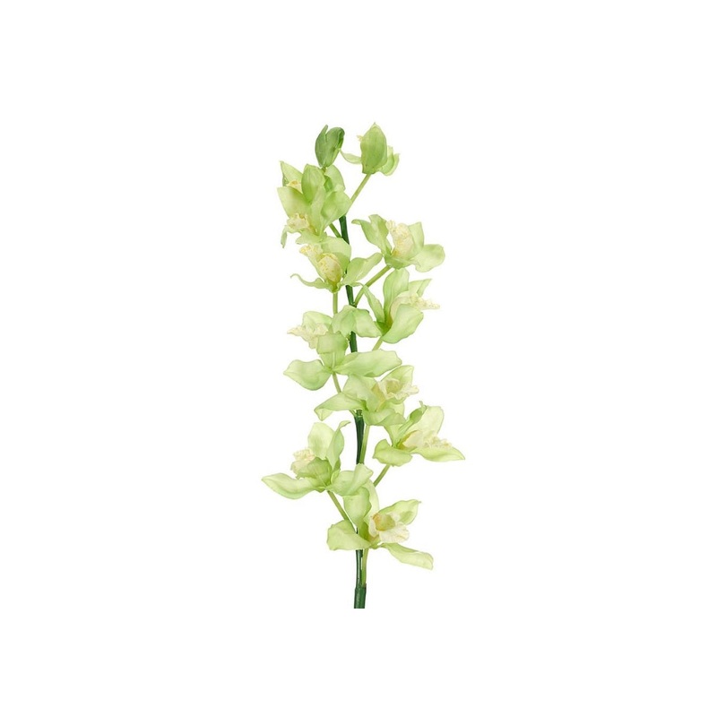 ORCHID CYMBIDIUM
