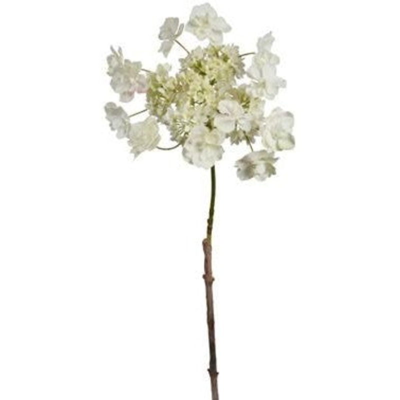 Butterfly Hydrangea – White