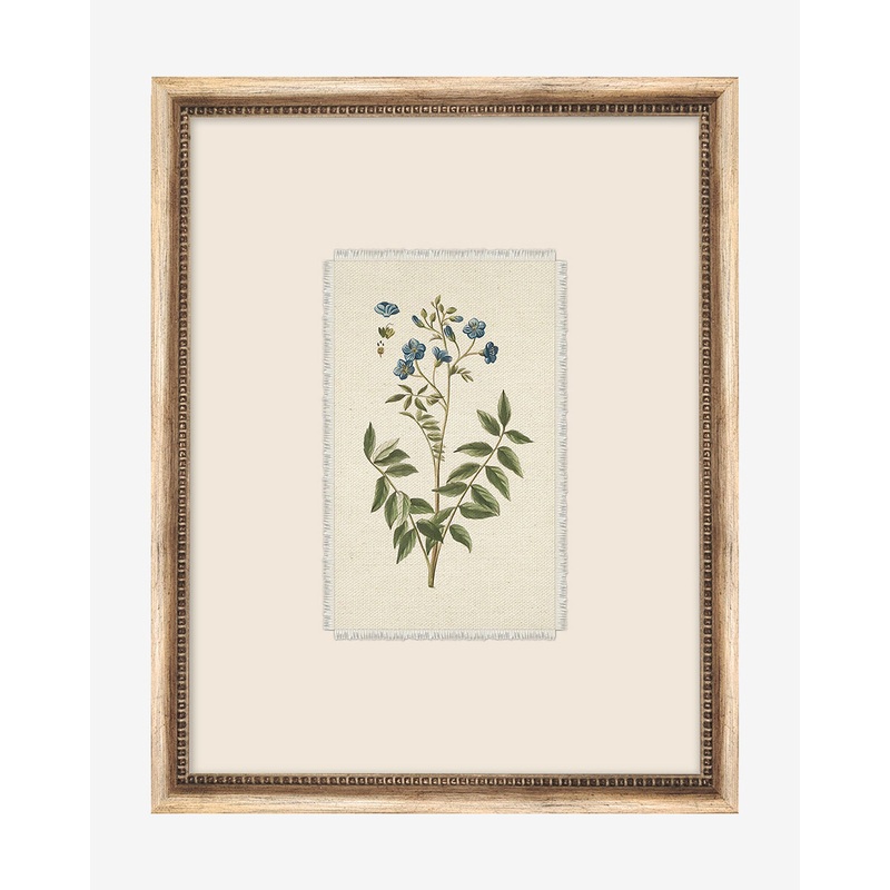 Delicate Floral l