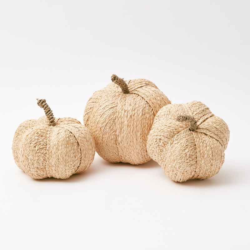 Raffia Pumpkin Family