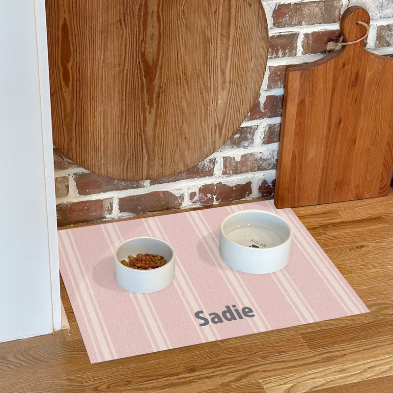 Custom Jane PetFlat | Pink – Premium Vinyl Mat