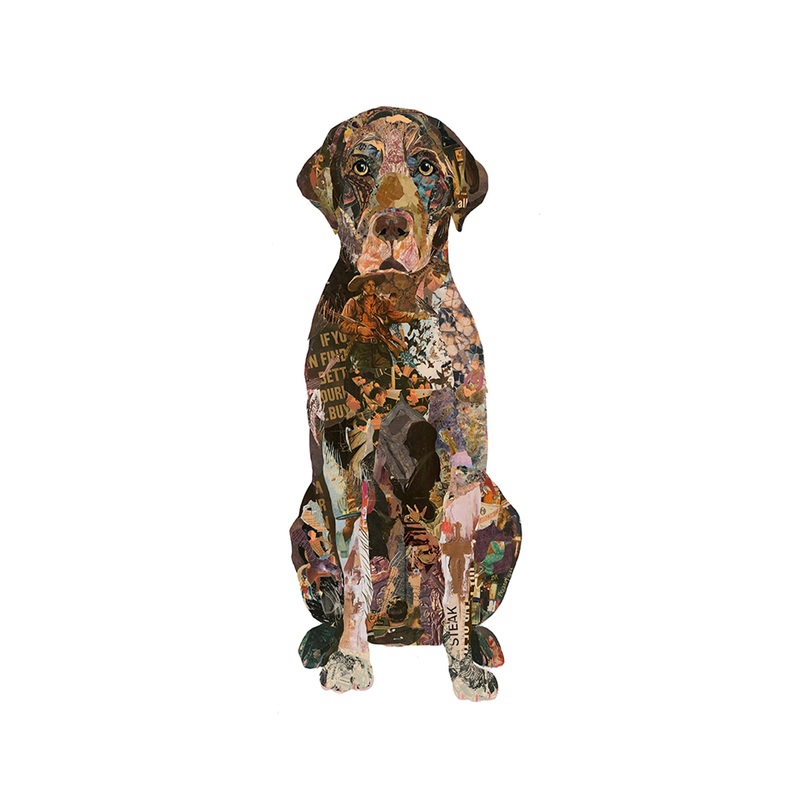 “Jake – Chocolate Lab” Archival Print