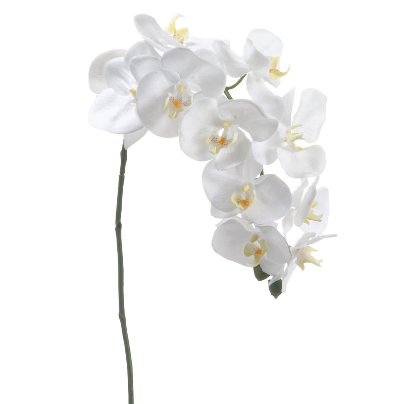 37″ Phalaenopsis Orchid Stem White
