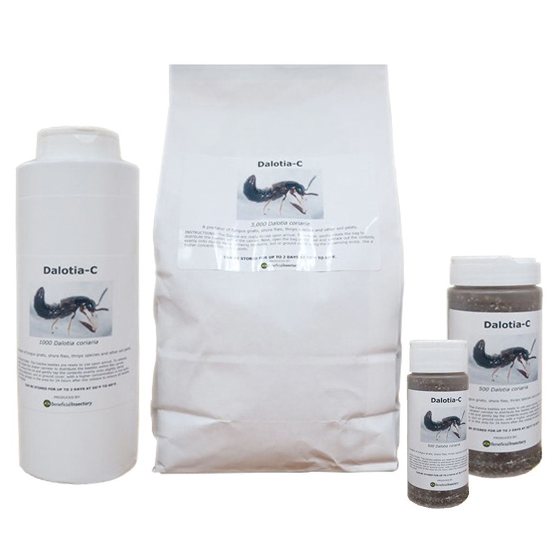 DALOTIAforce for Gnat Control