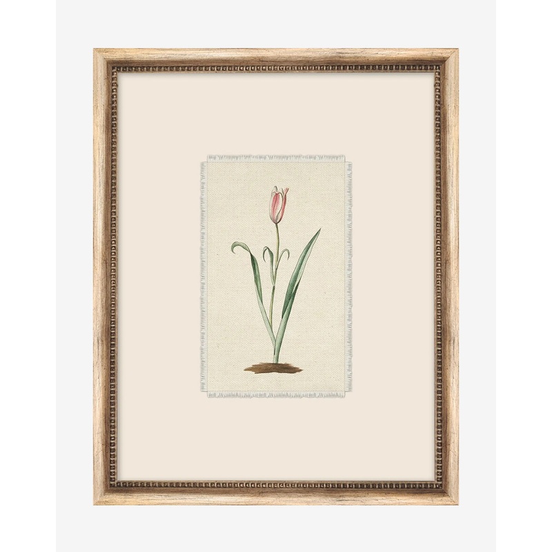 Petite Floral I
