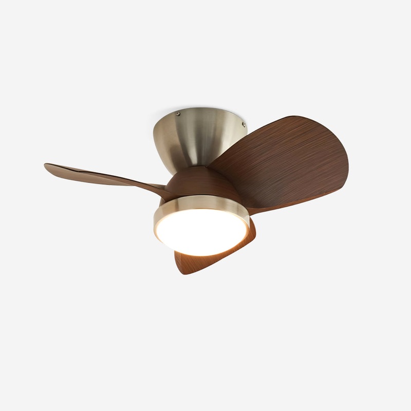 Talaya 24 Ceiling Fan Light