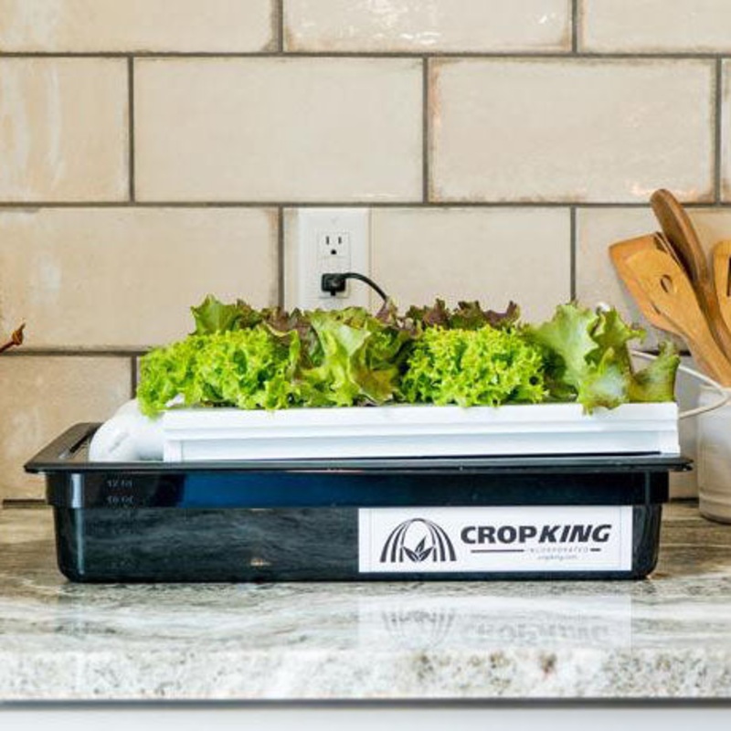 CropKing Desktop NFT System