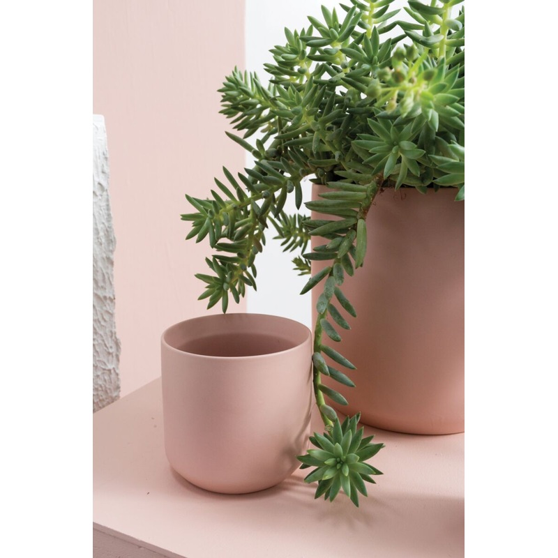 Pink Kendall Planter