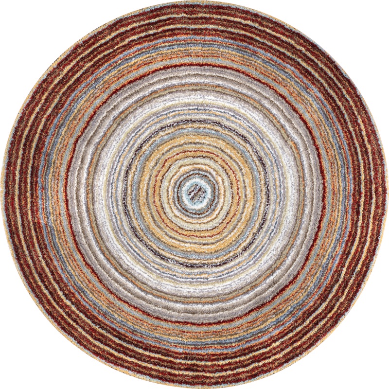 Striped Shaggy Rug | Red Multicolor
