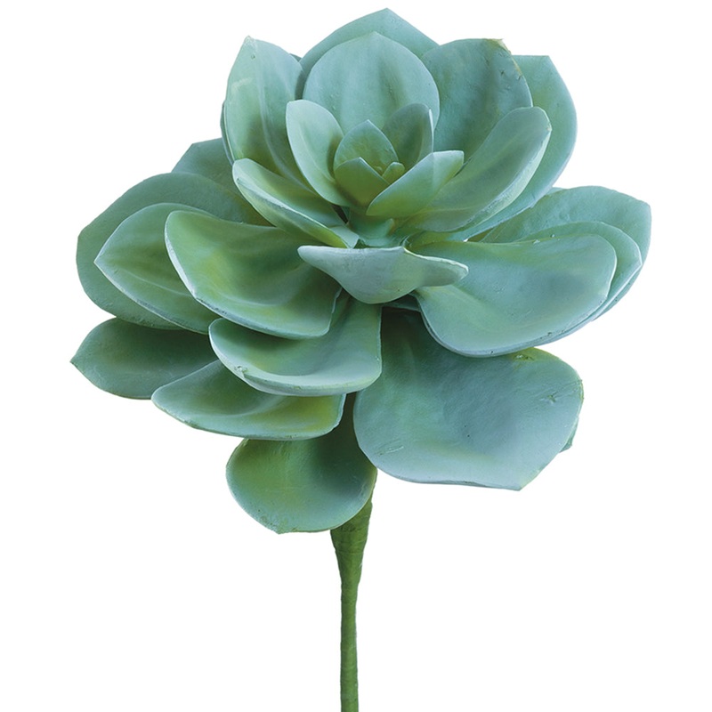 Soft Echeveria Pick