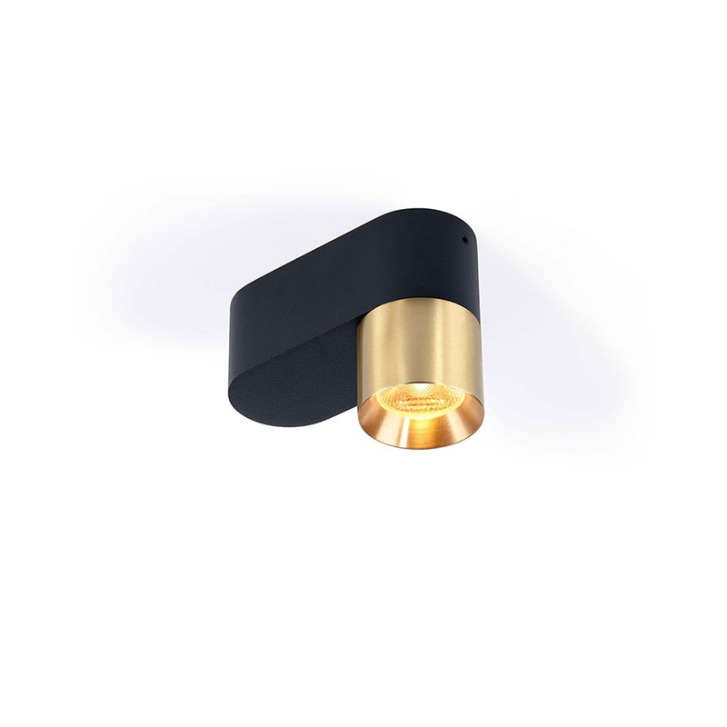 Trizo21 Audy-Duo 1 Up Rounded Surface Spotlight