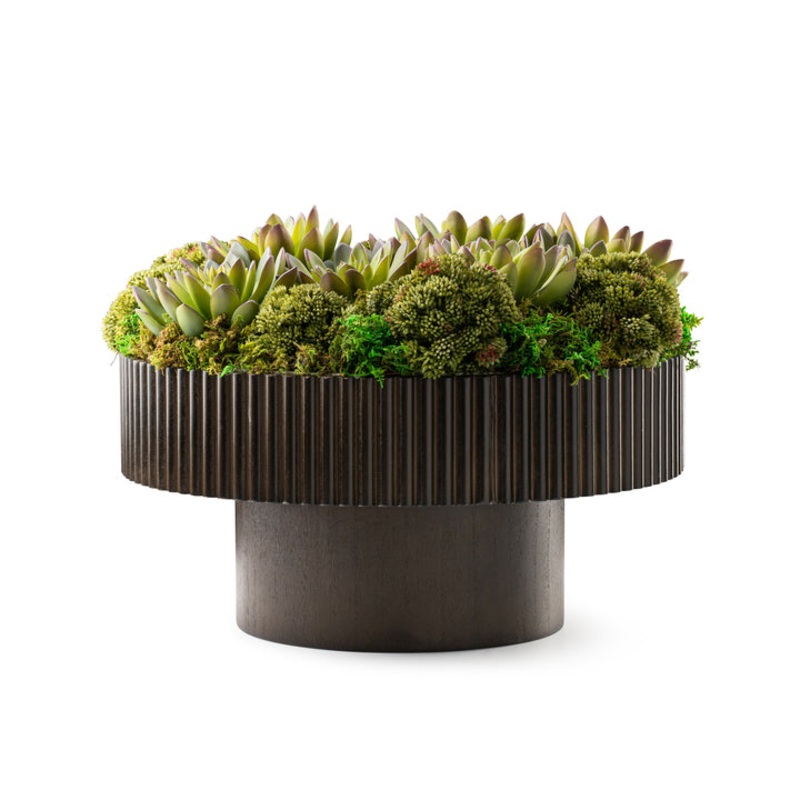 DH Moss & Succulents in Wood Pedestal Pot