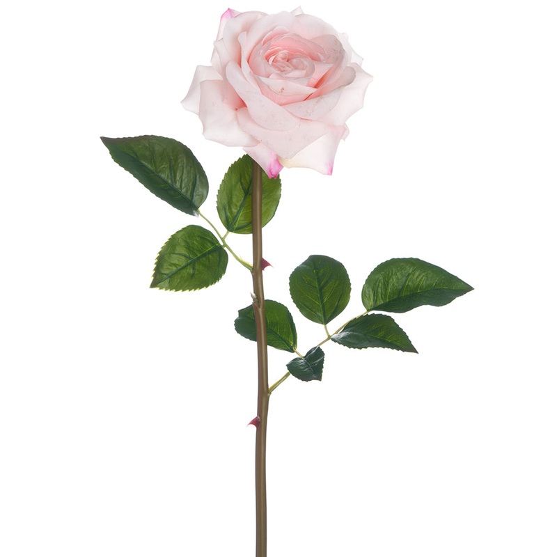 23.5″ Rose Stem – Pink