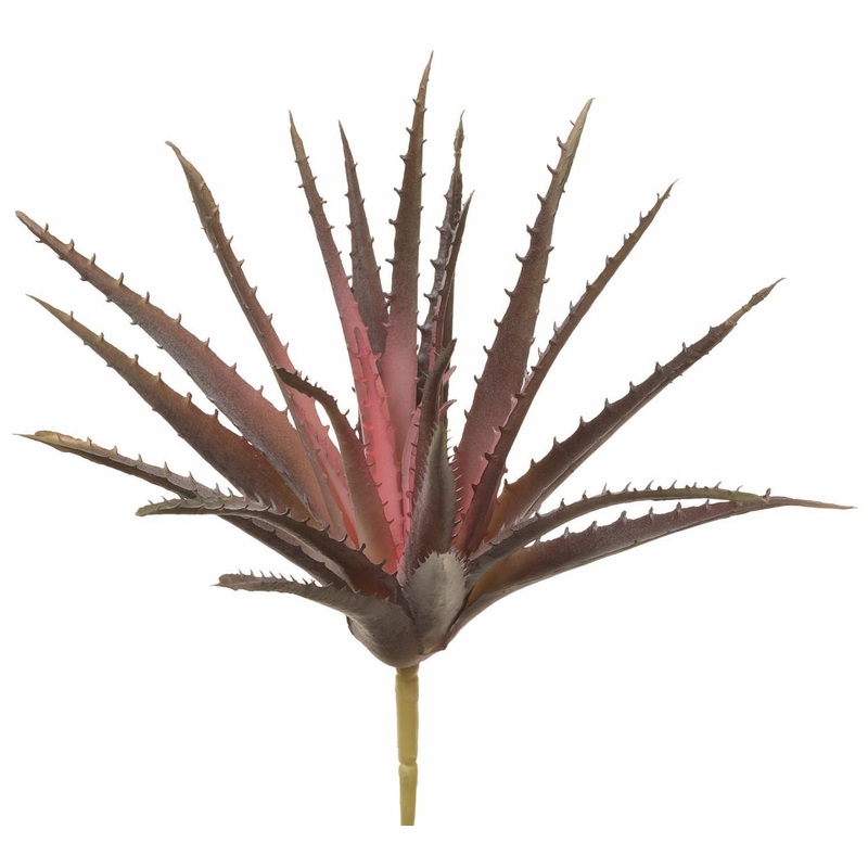 Plum Perfect Aloe Pick