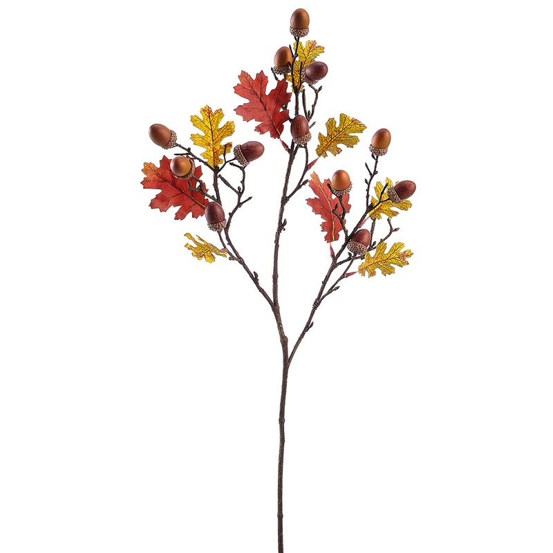 Oak Leaf Branch With Acorn