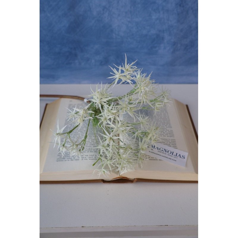 Cream Wild Allium Stem