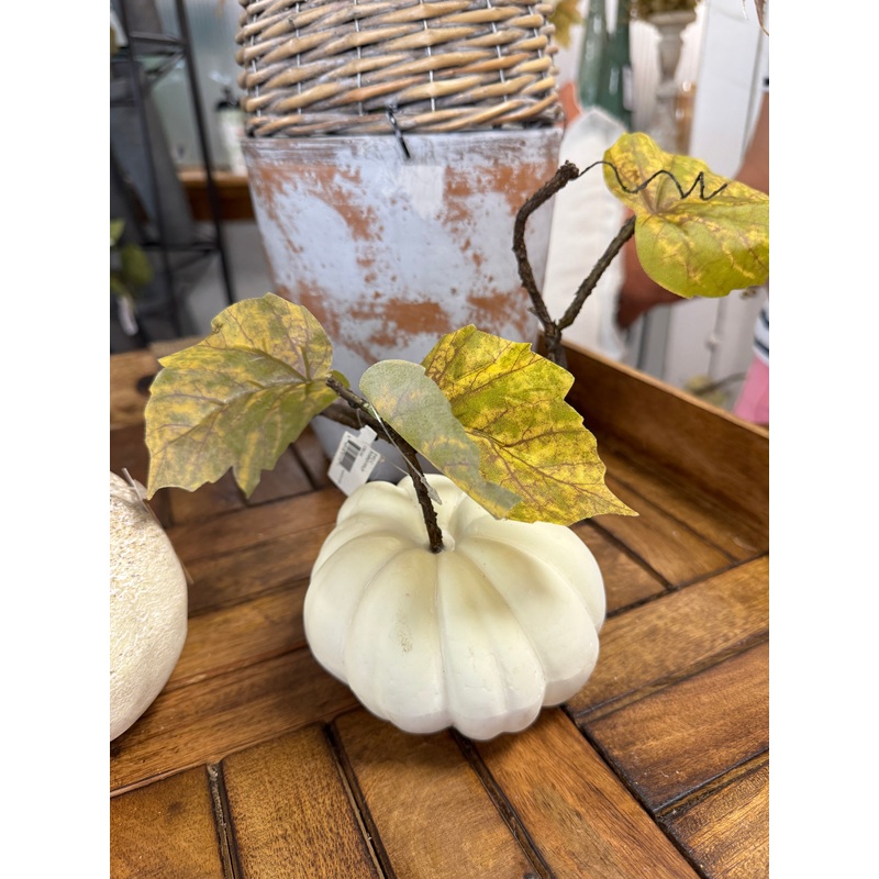 Still Growing Pumpkin Vine Stem