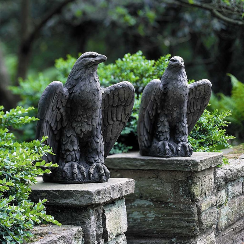 Eagle Looking Left and Right