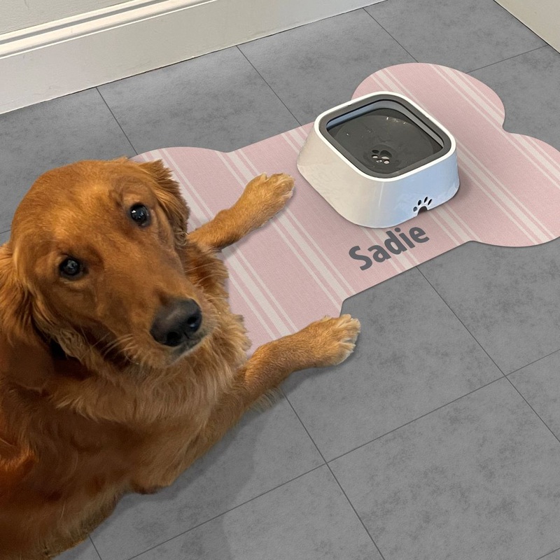Custom Jane Dog PetFlat | Pink – Premium Vinyl Mat
